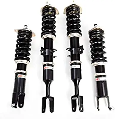 BC Racing BR True Rear Coilovers Compatible with 03-09 Infiniti G35 03-09 Nissan 350z