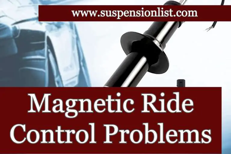 Magnetic Ride Control Problems